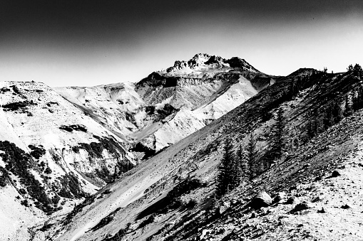 Ziig Zag canyon with rocky gravel and scattered forest on Mt. Hood, OR