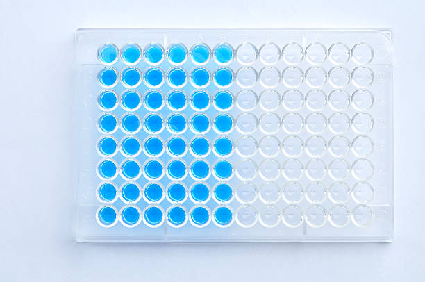 microplaca con la solución - microplate fotografías e imágenes de stock