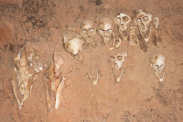 istock Monkey skulls into the walls, Mali, Africa. 177343938