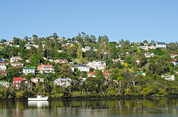 biały łódź na rzeka tamar, trevallyn, launceston, tasmania - launceston zdjęcia i obrazy z banku zdjęć