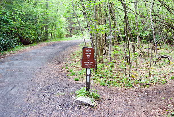 istock Virginia Creeper Bike trail 177344814