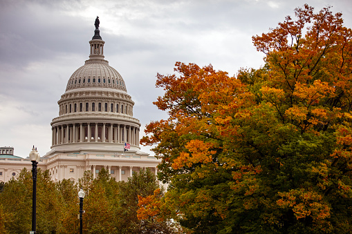 Fall foliage and the Capitol building in Washington DC
