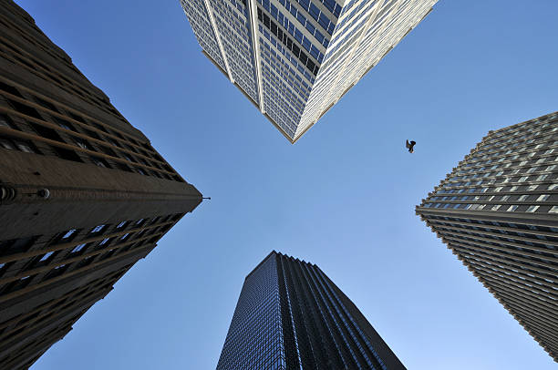 istock Bird, sky and skyscrapers 177345391