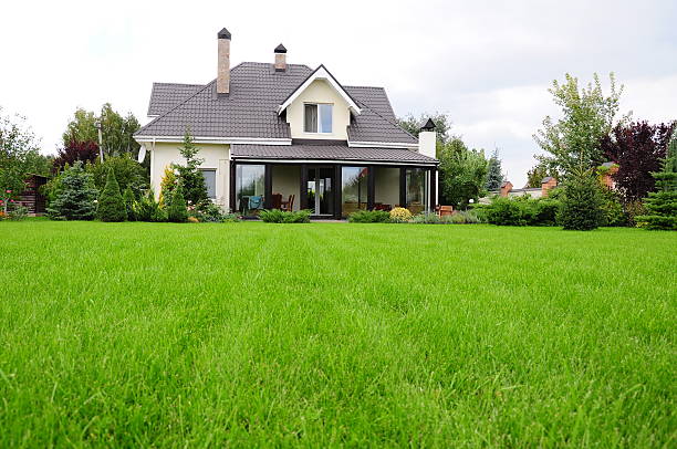 jardin de la maison - green grass photos et images de collection