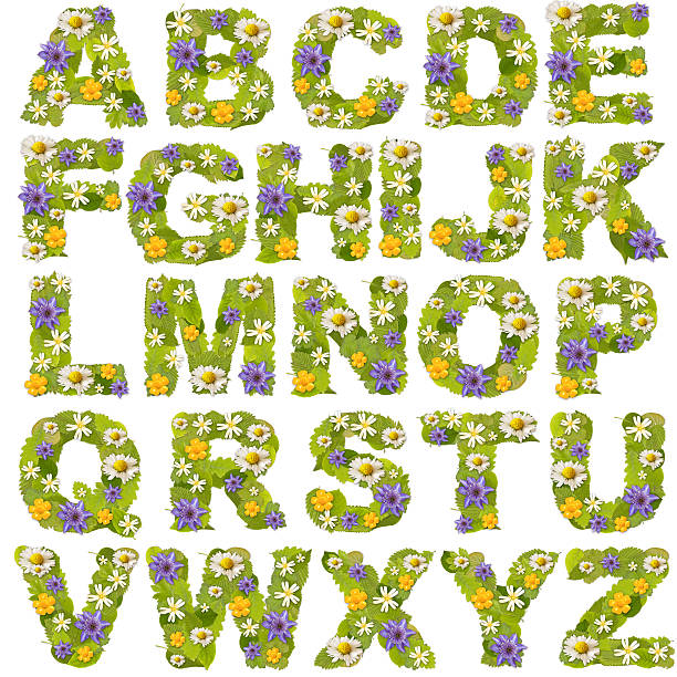 istock Green leaf whit flower fonts 177346128
