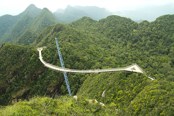 곡선형 현수교 - tropical rainforest elevated walkway pulau langkawi malaysia 뉴스 사진 이미지