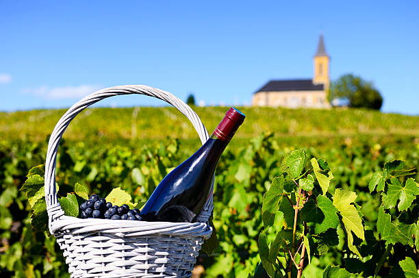 A bottle of red wine in a feel of vines with a church Bottle of red wine in a basket of reasons near a typical church beaujolais region stock pictures, royalty-free photos & images