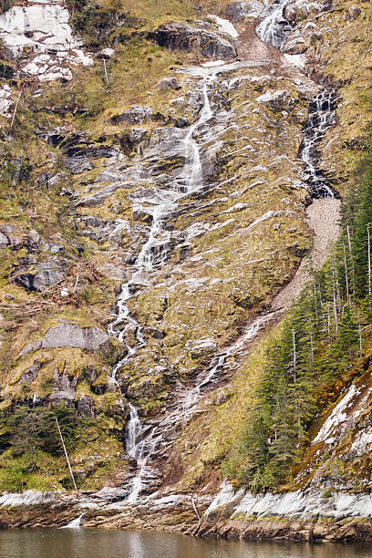 istock Snowmelt Running Past Evergreens 177347534