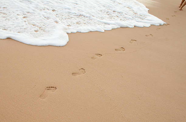 istock Footprints on sand of ocean beach 177347555