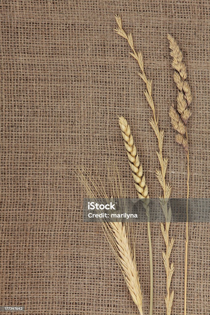 Abstract pasto - Foto de stock de Saco de arpillera libre de derechos