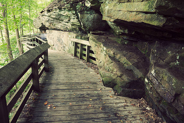 istock Tourist trail to Brandwine Falls 177347867