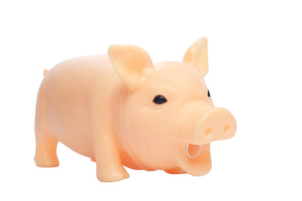 istock Toy Pig isolated on white background 177348067