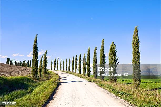Toscana Paesaggio Cipressi Bianco Road Italia Europa - Fotografie stock e altre immagini di Agricoltura