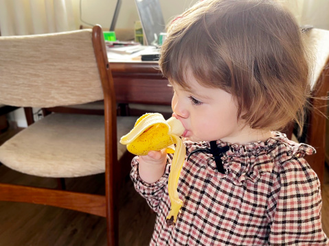 Female toddler eating banana