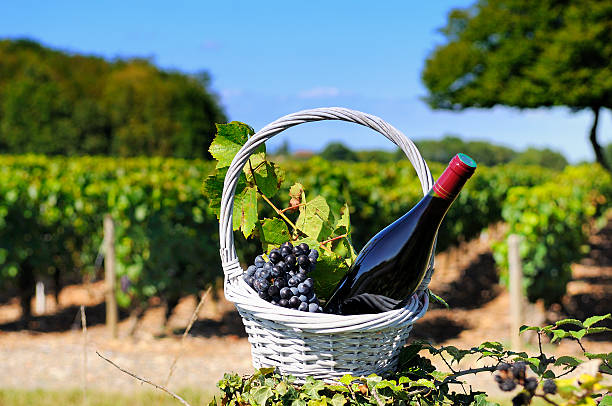 istock bottle of red wine 177348644