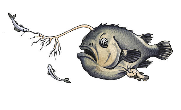 Spade Fish Line Drawing 1,500+ Spade Fish Stock Illustrations, Royalty-Free Vector Graphics ...