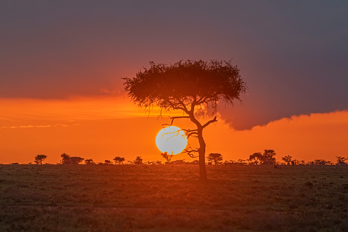 African sunset in the greater Masai Mara ecosystem, Kenya