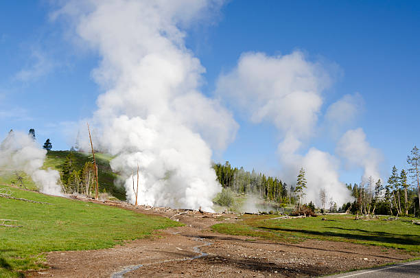 Geyser in Yellowstone Geyser in Yellowstone National Park in Wyoming in the United States of America sulphur landscape fumarole heat stock pictures, royalty-free photos & images