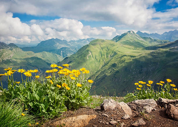 горный пейзаж - lechtal alps стоковые фото и изображения