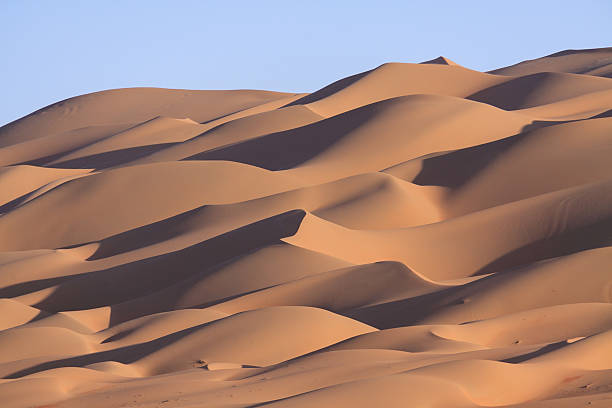 istock Lines of sand dunes 177350259