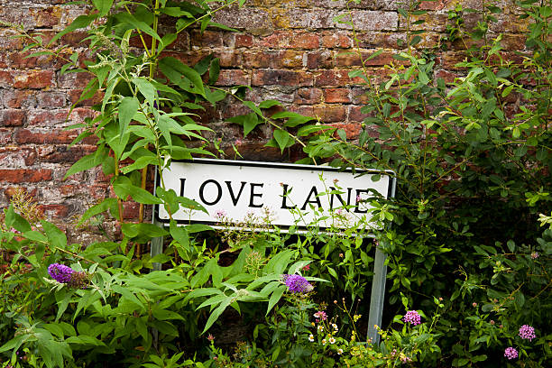 Love Lane road sign on a stone wall with flowers stock photo