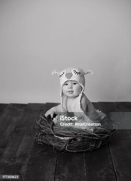 Bebê Sentado No Ninho De Coruja Vestindo Chapéu - Fotografias de stock e mais imagens de 6-11 meses - 6-11 meses, Bebé, Chão de Madeira