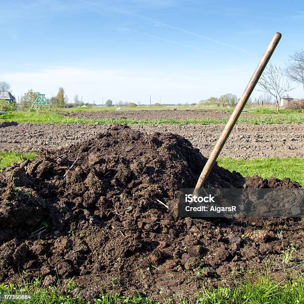Heap Of Organic Fertilizer Stock Photo - Download Image Now - Agriculture, Animal Dung, Compost