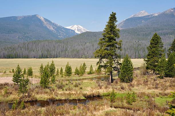 istock Rocky Mountain National Park 177351162