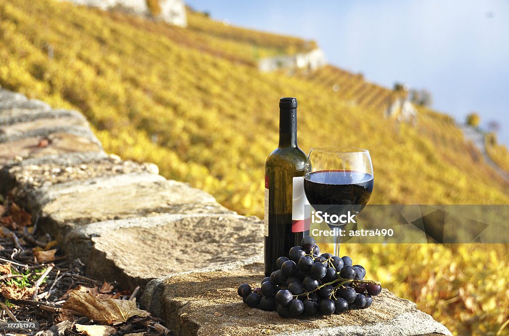 Red wine and grapeson the terrace vineyard Red wine and grapeson the terrace vineyard in Lavaux region, Switzerland Grape Stock Photo