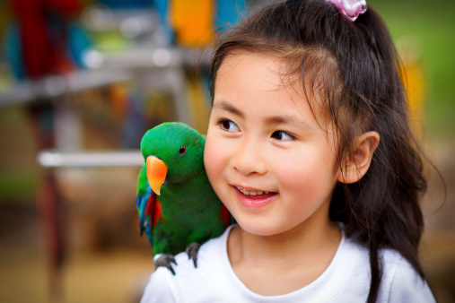 cute little girl and parrot