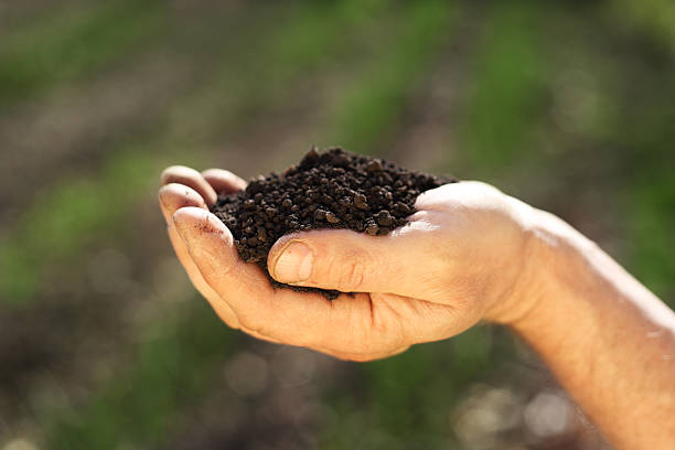 istock Image of soil in hand 177352158