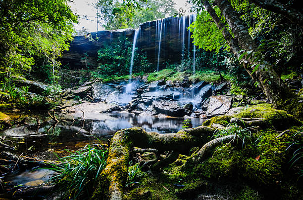 istock Tham So Nuea Waterfall, Flowing Water, falls, Thailand. 177353599