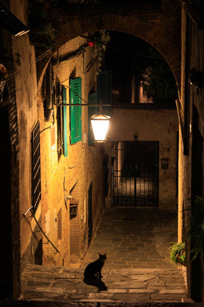 istock Typical Italian Street at night 1773539241
