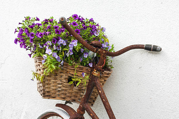 istock Old Flowerbike 177356571