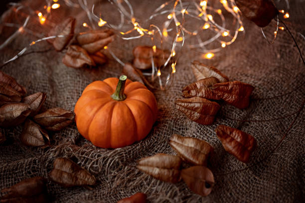 istock Autumn vintage background composition with little pumpkin. 1773566567