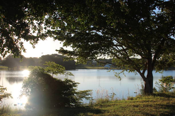 istock sun rising over the lake 1773573734