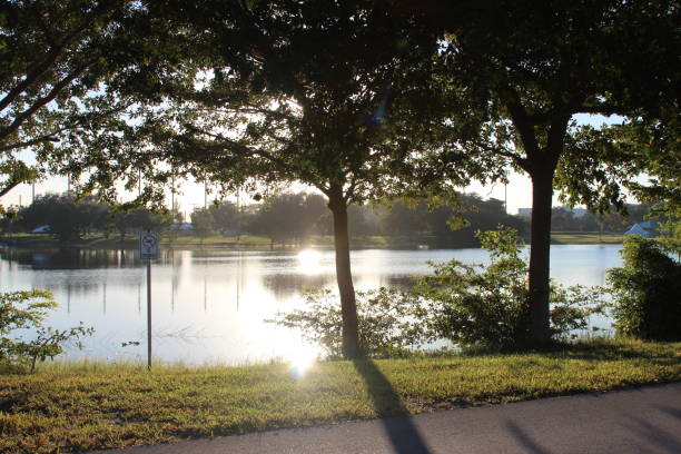 istock sun rising over the lake 1773573736