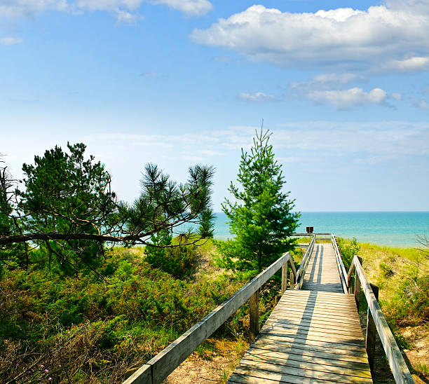 istock Wooden walkway over dunes at beach 177357572