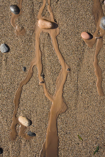 Muddy water running on wet sand stock photo