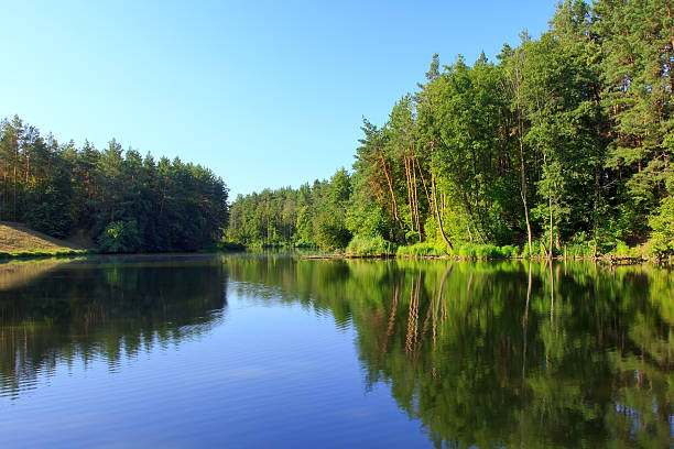 istock Tranquil landscape with a lake and pine forest 177357898