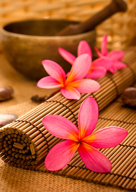 발리니스 스파 수 있습니다. - relaxation bali spa treatment frangipani 뉴스 사진 이미지