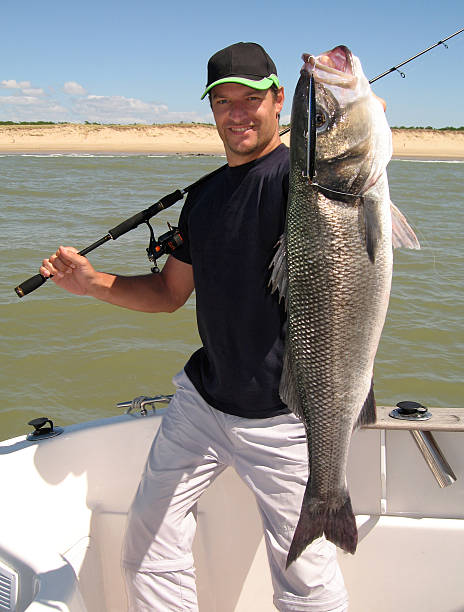 Sea bass Lucky  fisherman holding a large sea bass fishing boat photos stock pictures, royalty-free photos & images