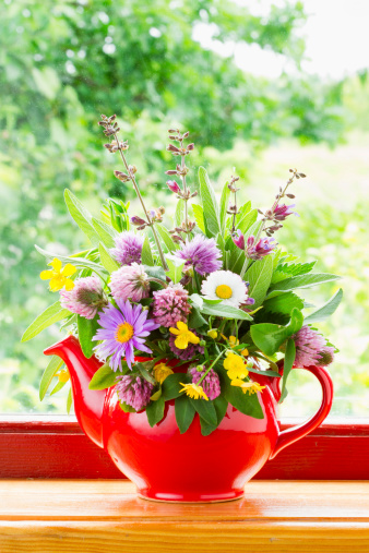red teapot with bouquet of healing herbs and flowers on windowsill