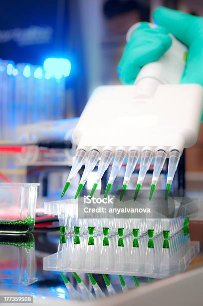 Sample Load With Multichannel Pipette Stock Photo - Download Image Now - Biotechnology, Body Part, DNA