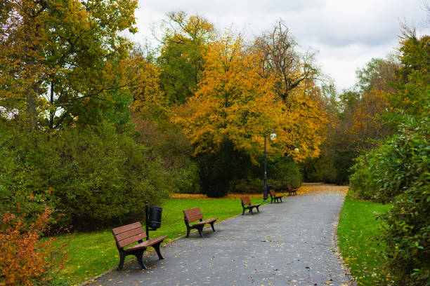 istock Path in Solacz Autumn Park with Lanterns and Benches. Poland, Poznan 1773599567