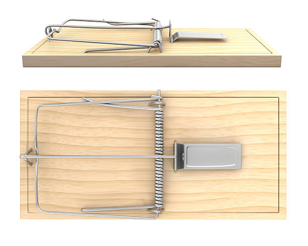 istock Wooden mouse trap, side and top view 177360245