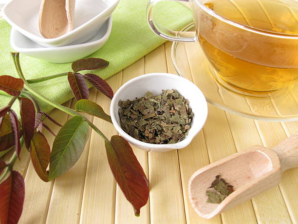 Herbal tea with walnut leaves stock photo