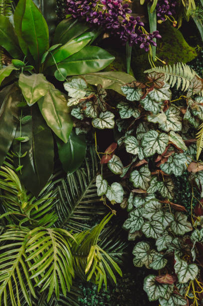 istock abstract green leaf texture, tropical leaf foliage nature dark green background 1773614139