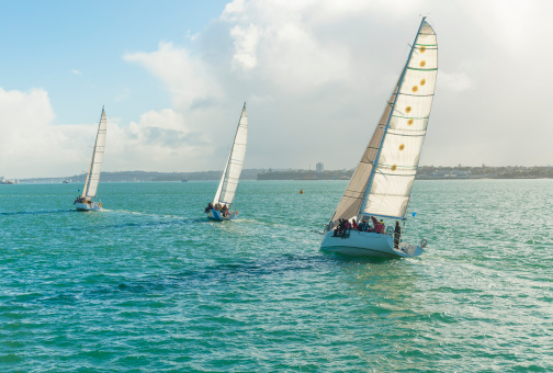 color photo of three yachts racing each other in Auckland Harbour in New Zealand.