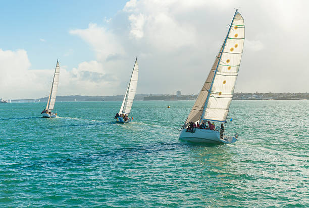 three yachts racing stock photo